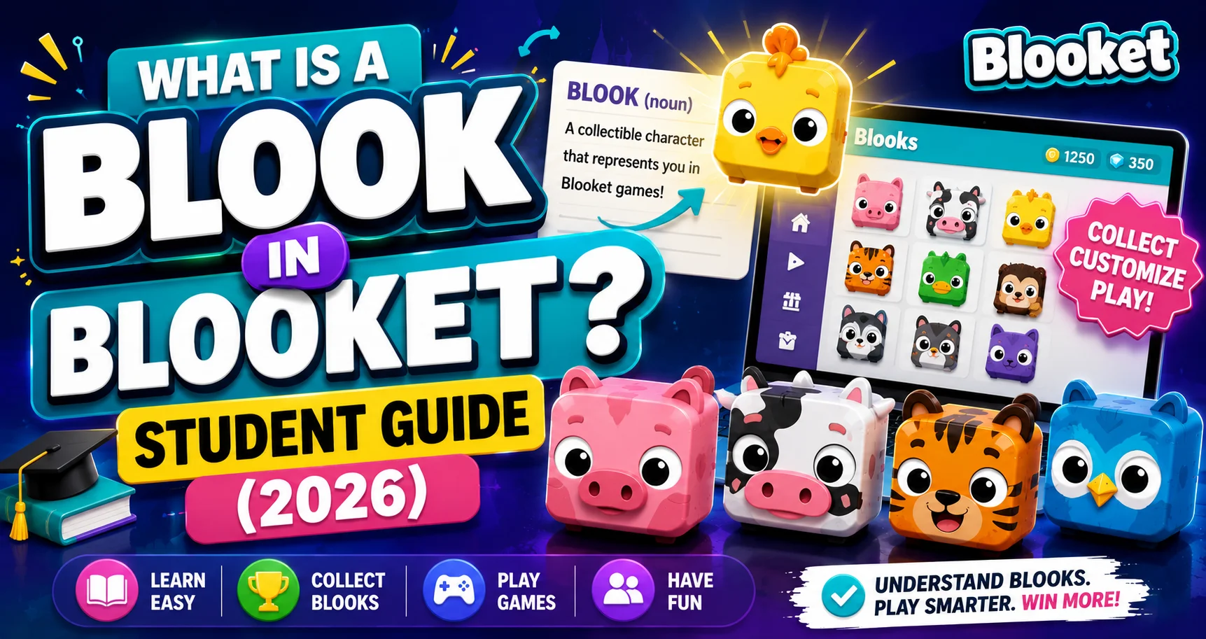 What is a Blook